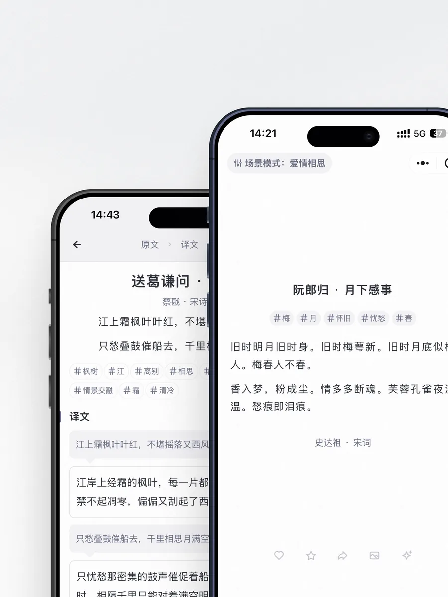 首页与诗词详情